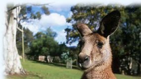 Attractions from Sydney