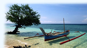 Attractions from Indonesia
