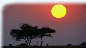 Travel guide to Namibia