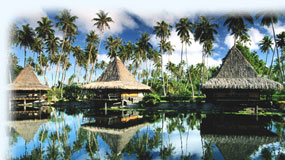 Travel guide to Polynesia (French)